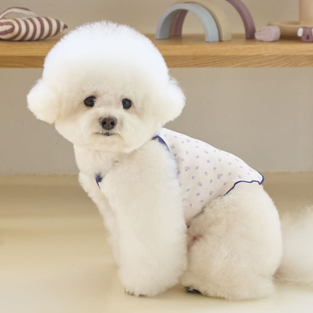 ブリーズ クロップトップ (スカイブルー)