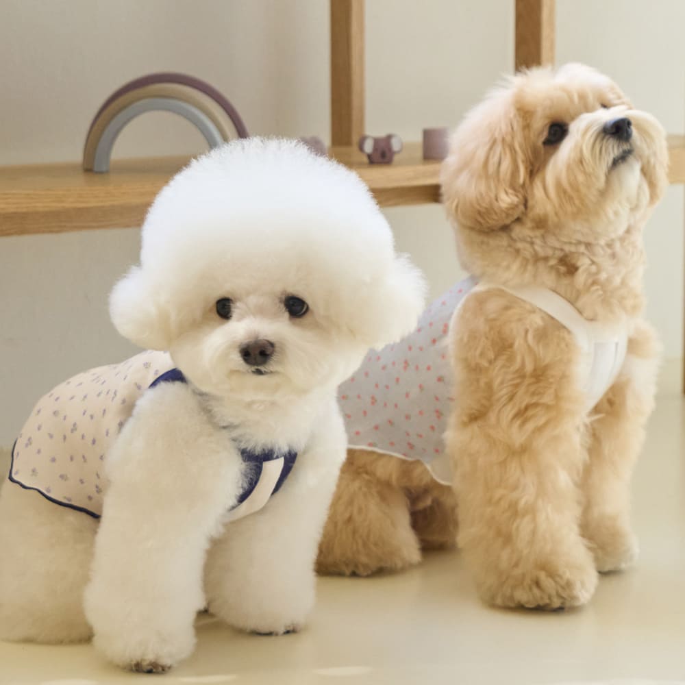 ブリーズ クロップトップ (スカイブルー)