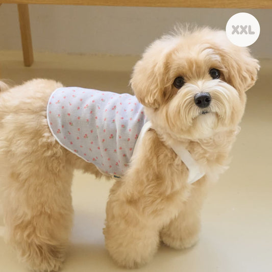 ブリーズ クロップトップ (スカイブルー)