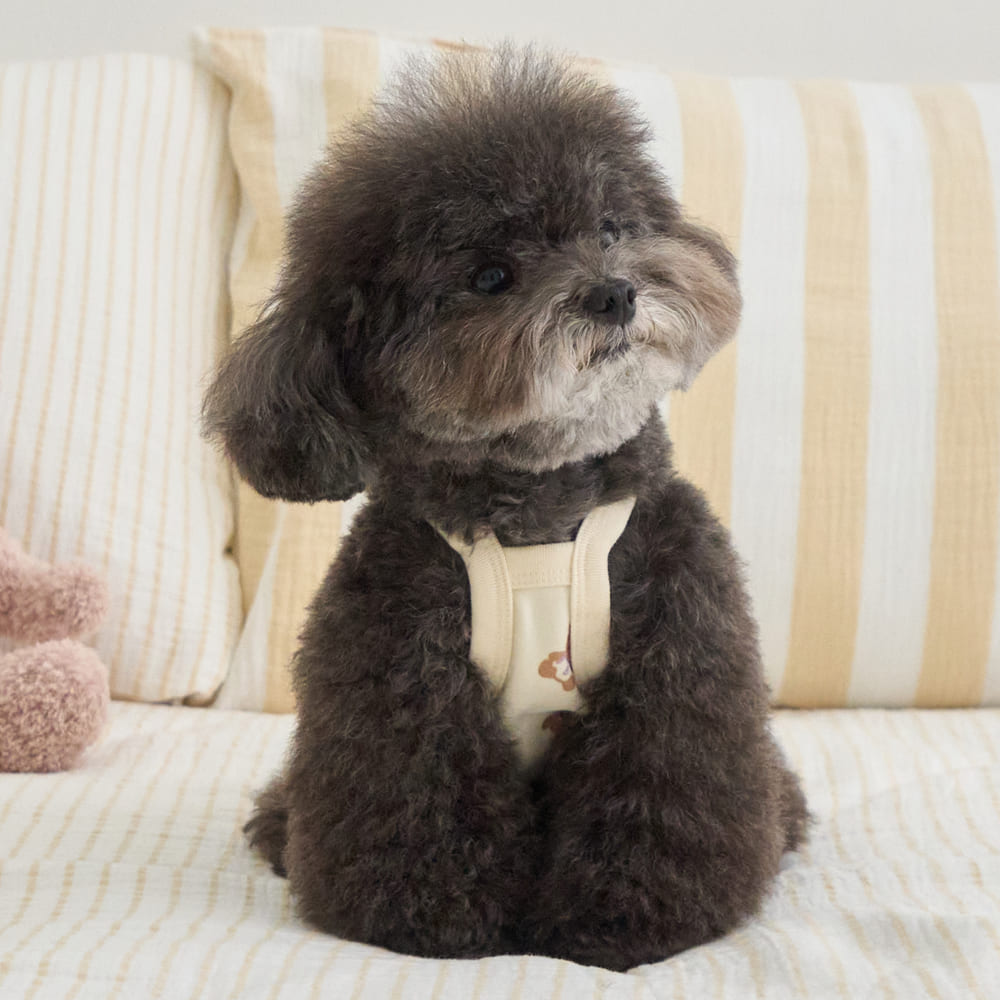 ルーキー レイヤード クロップトップ (アイボリー)