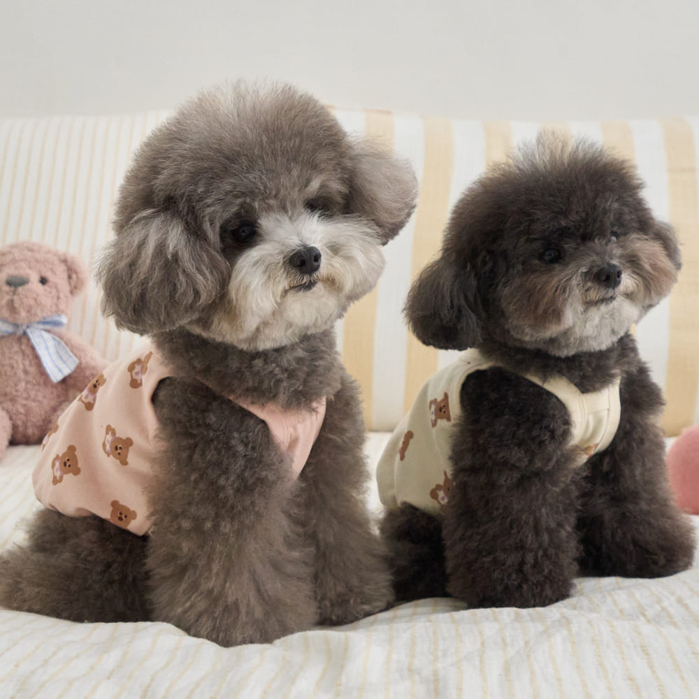 ルーキー レイヤード クロップトップ (アイボリー)