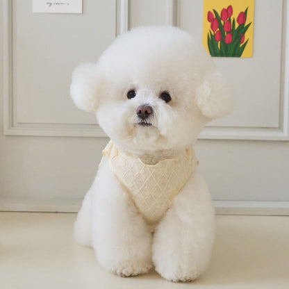 リボネード クロップTシャツ (イエロー)