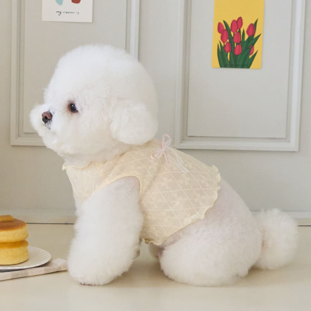 リボネード クロップTシャツ (イエロー)