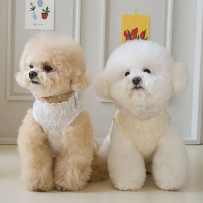 リボネード クロップTシャツ (イエロー)