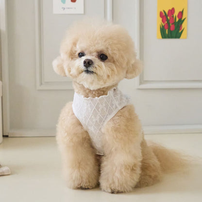 リボネード クロップTシャツ (ホワイト)