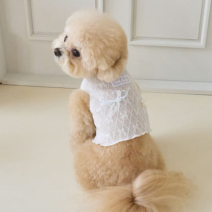 リボネード クロップTシャツ (ホワイト)