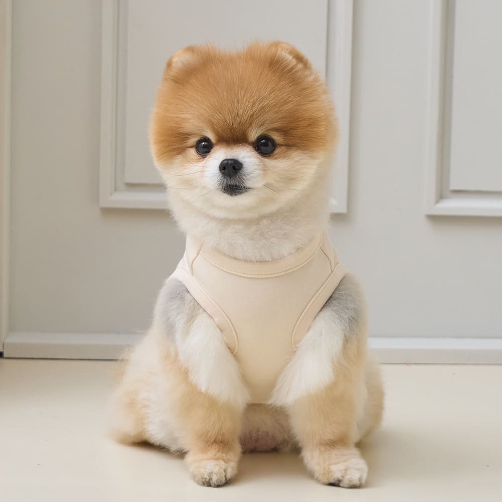 プレイ ウィズ ミー クロップ Tシャツ (アイボリー)