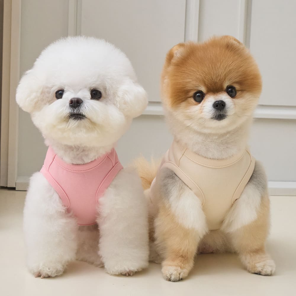 プレイ ウィズ ミー クロップ Tシャツ (ピンク)