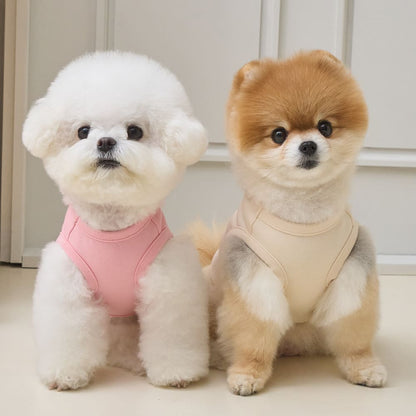 プレイ ウィズ ミー クロップ Tシャツ (アイボリー)