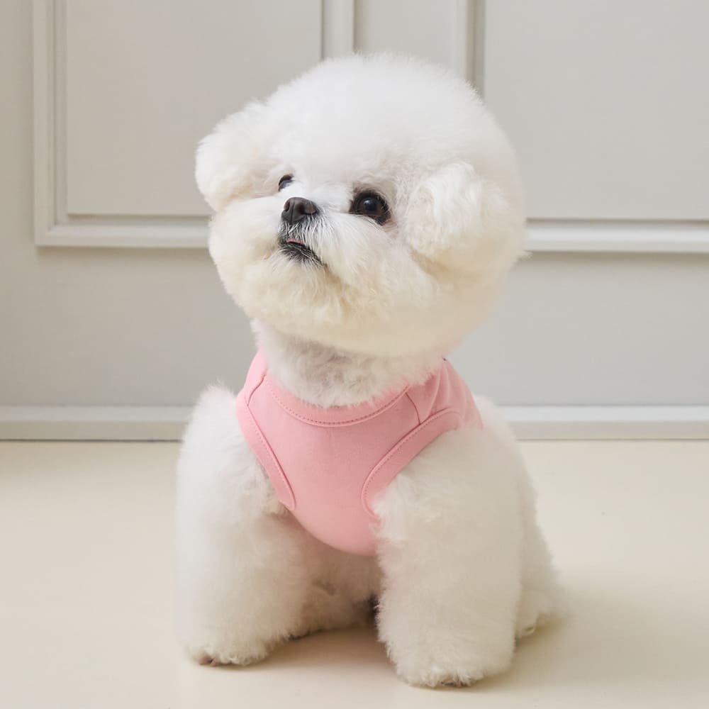 プレイ ウィズ ミー クロップ Tシャツ (ピンク)