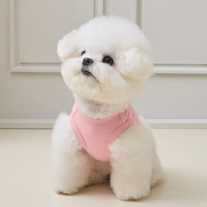 プレイ ウィズ ミー クロップ Tシャツ (ピンク)