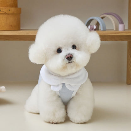 ボウカラー クロップTシャツ (スカイブルー)