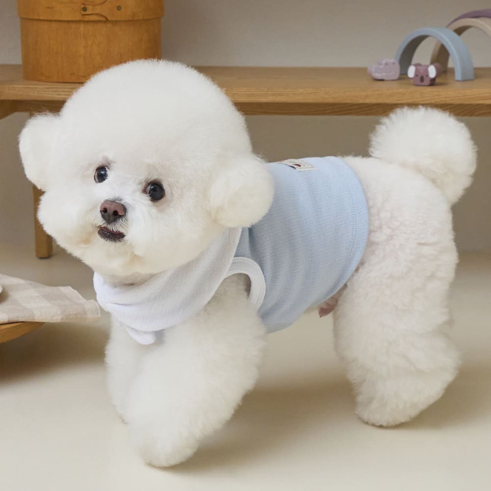 ボウカラー クロップTシャツ (スカイブルー)