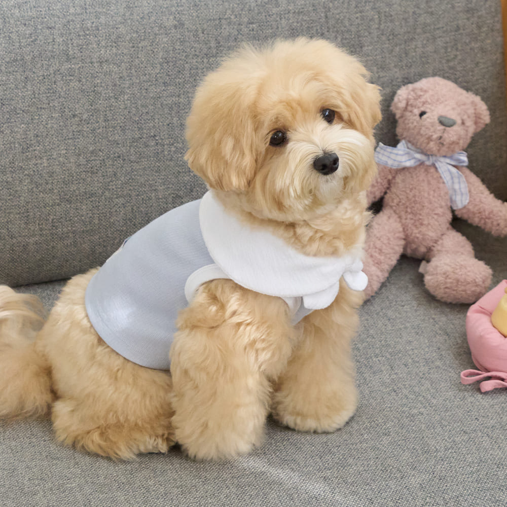 ボウカラー クロップTシャツ (スカイブルー)