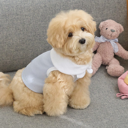 ボウカラー クロップTシャツ (スカイブルー)