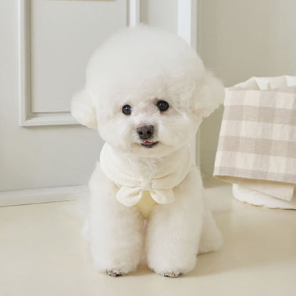 ボウカラー クロップTシャツ (イエロー)