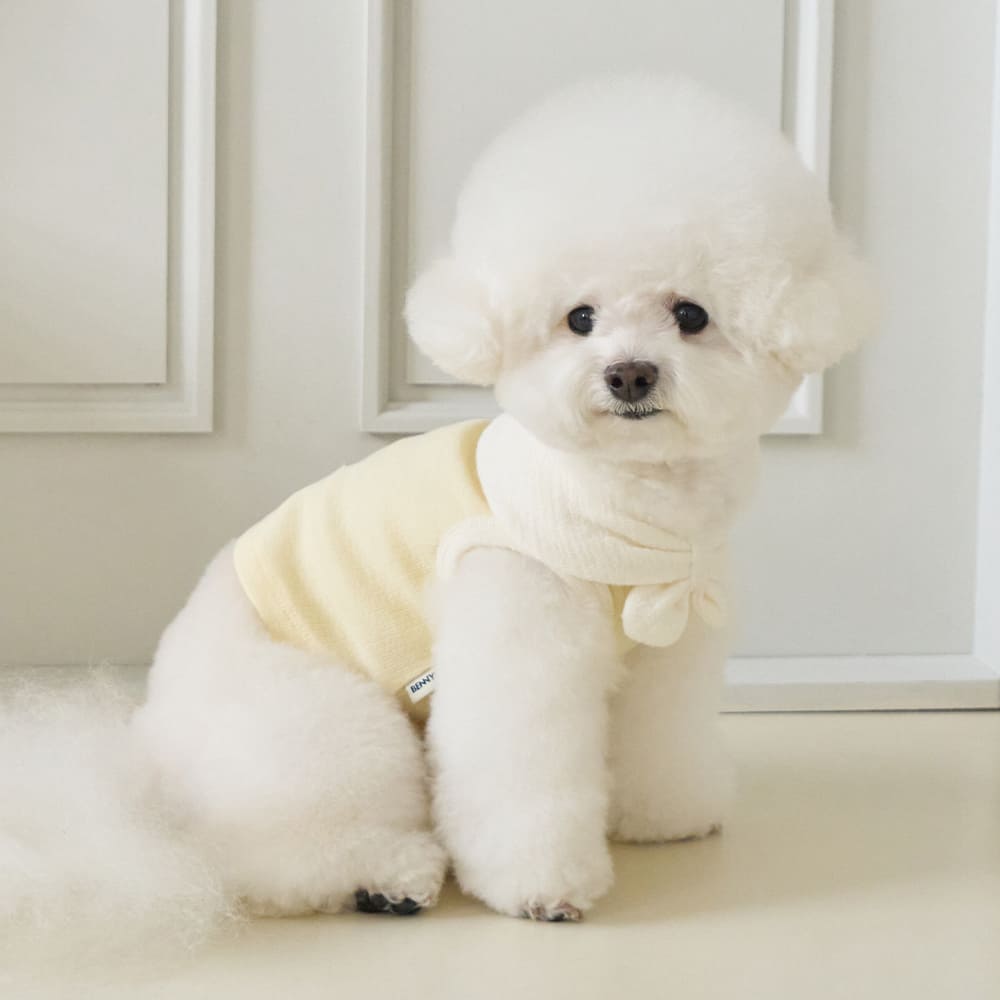 ボウカラー クロップTシャツ (イエロー)