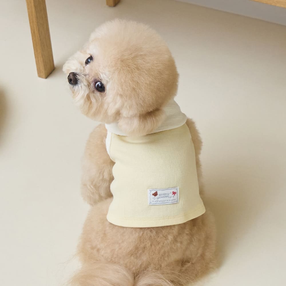 ボウカラー クロップTシャツ (イエロー)