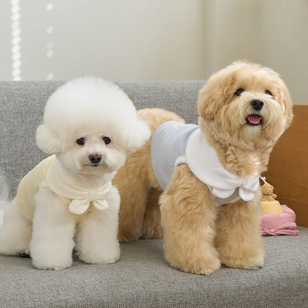 ボウカラー クロップTシャツ (イエロー)