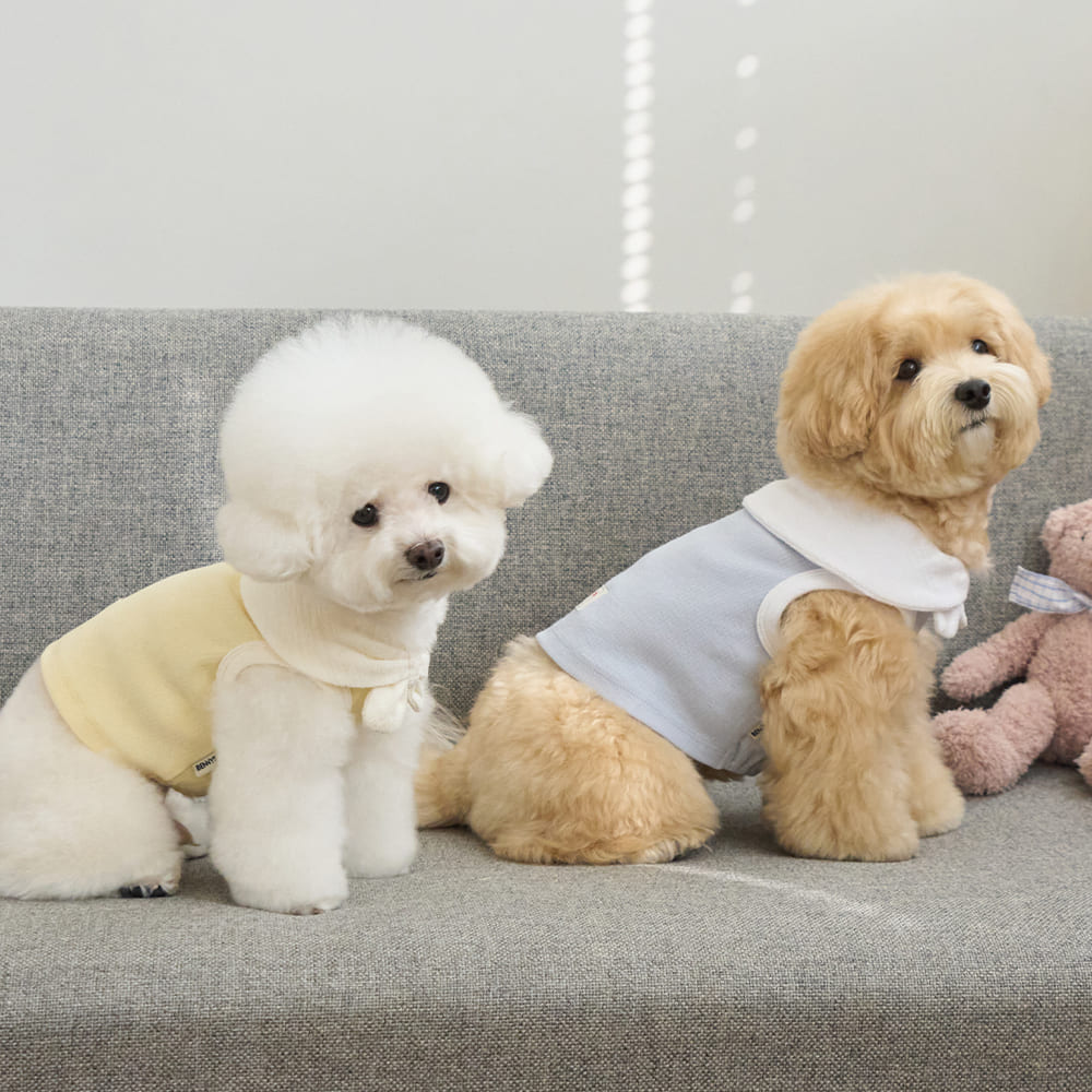 ボウカラー クロップTシャツ (スカイブルー)