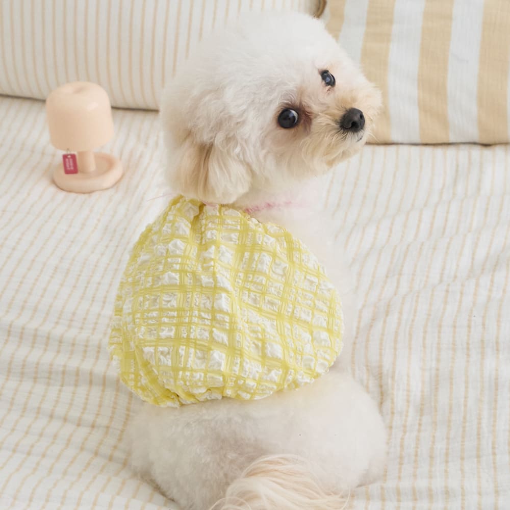 シトラス バルーン トップ (イエロー)