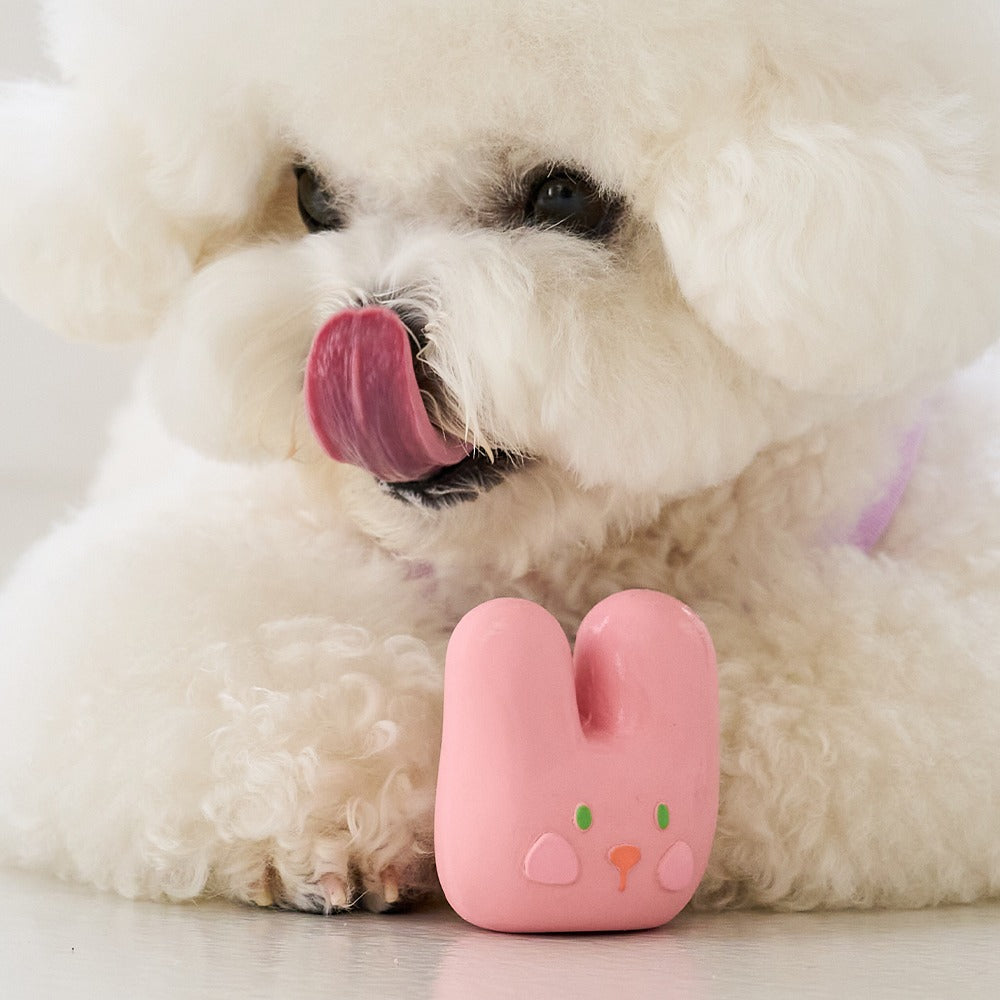 ANIMAL BEBE LATEX TOY (BUNNY)