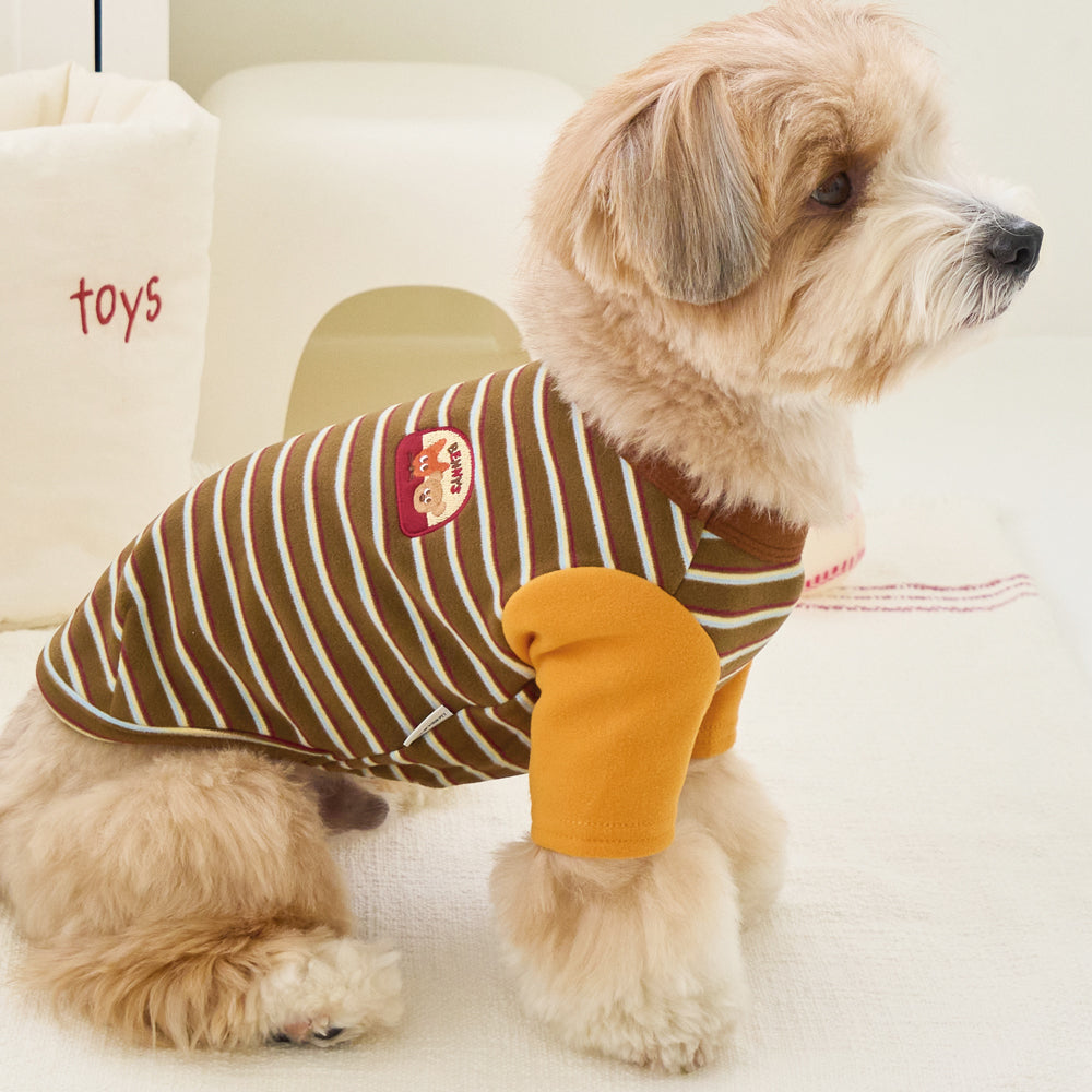 オータム ストライプ Tシャツ (カーキ)