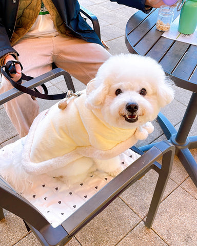 毎年ケープ型買っちゃいﾏｽ | #1861913