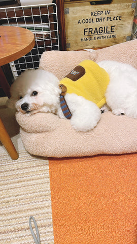 着脱簡単♡ハーネス内側につけれる！ | #1861914