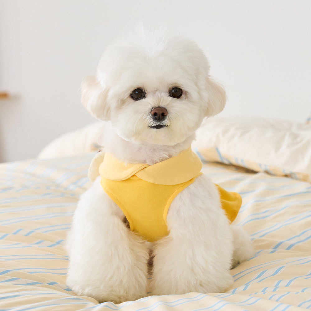 ディズニー] プー カラーワンピース (イエロー) | ベニーズ公式ショップ